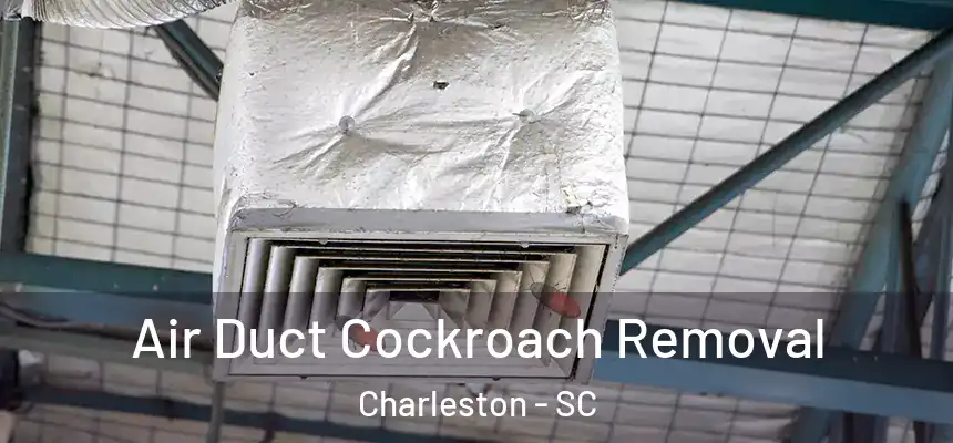  Air Duct Cockroach Removal Charleston - SC