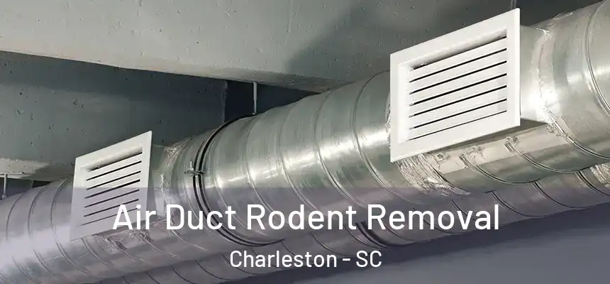  Air Duct Rodent Removal Charleston - SC