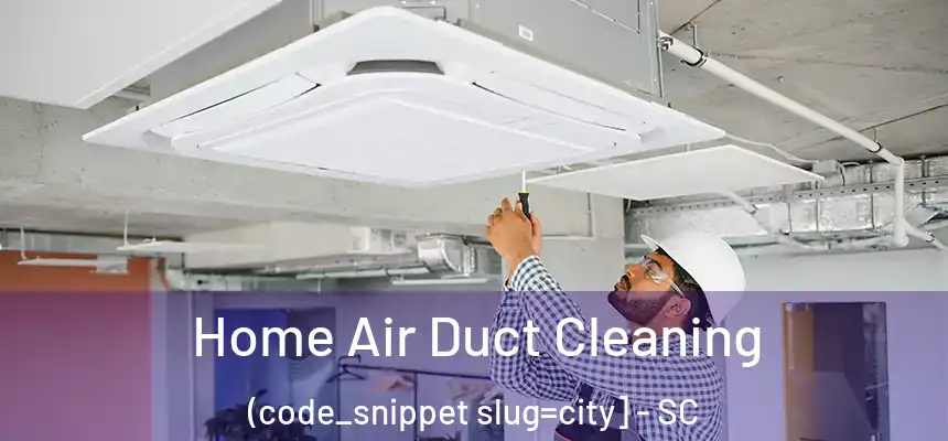  Home Air Duct Cleaning (code_snippet slug=city] - SC