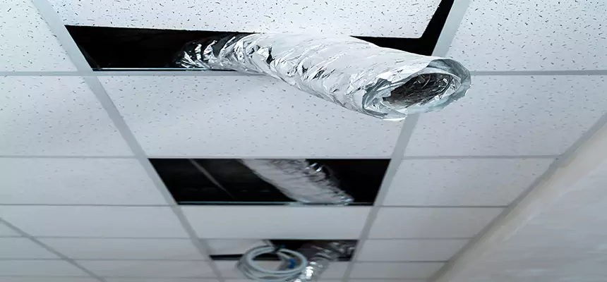 Affordable HVAC Sanitizing After Pest Removal in Charleston