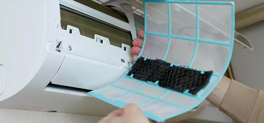 Gentle Ductwork Odor-Control Pet Dander Duct Cleaning in Charleston, SC