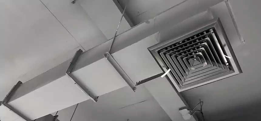 Our Rodent Droppings In Vents Services in Charleston, SC