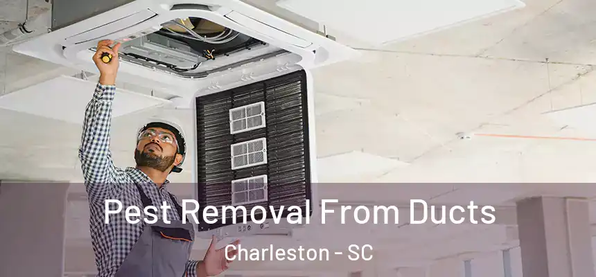  Pest Removal From Ducts Charleston - SC