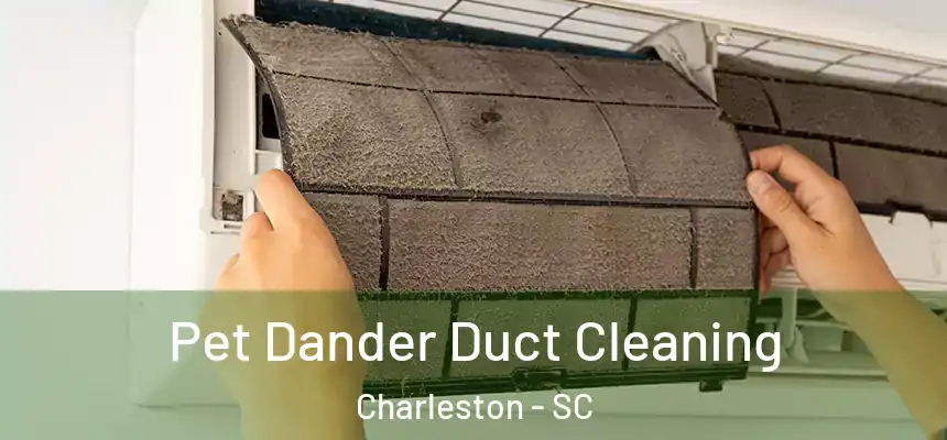  Pet Dander Duct Cleaning Charleston - SC