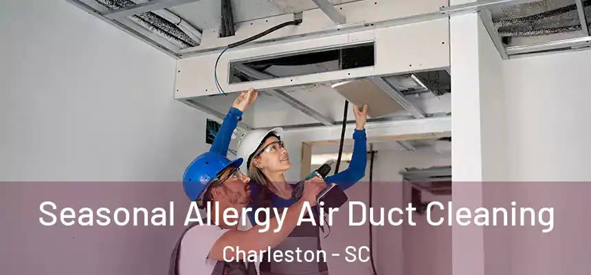  Seasonal Allergy Air Duct Cleaning Charleston - SC