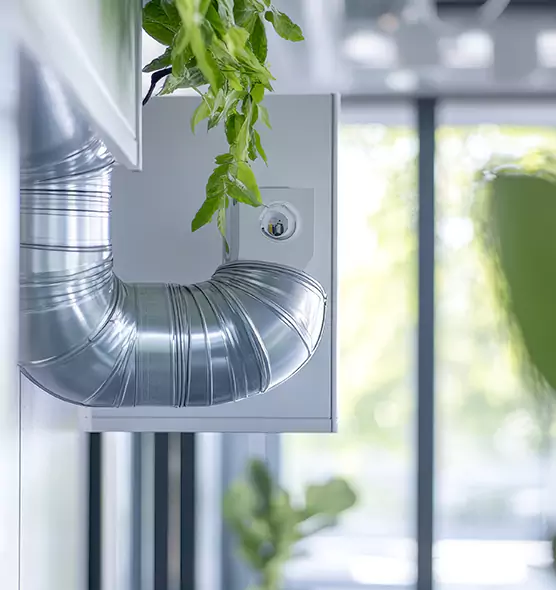 Professional Eco-Friendly Duct Cleaning Services in Charleston, SC