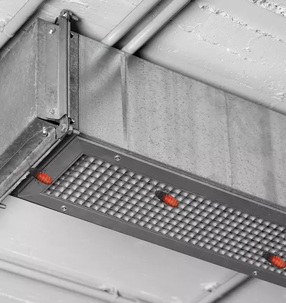 Affordable Insect Removal from Air Ducts in Charleston, SC