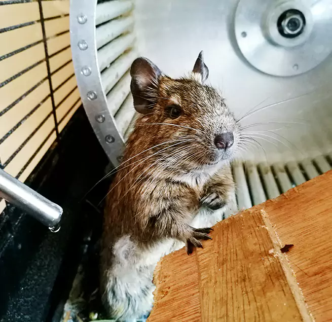 Why Homeowners & Businesses Trust Us Charleston, SC