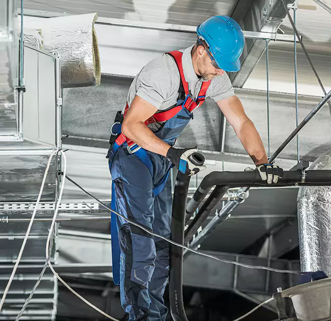 Why Homeowners & Businesses Trust Us in Charleston, SC?