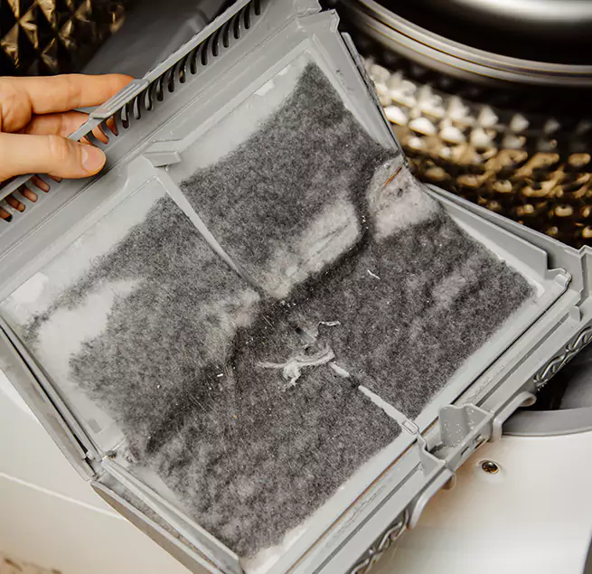  Why Homeowners & Businesses Trust Us Charleston, SC?