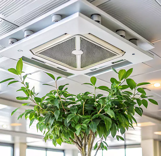 Why Homeowners & Businesses Trust Us in Charleston, SC