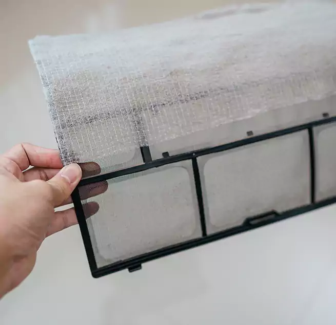 Why Homeowners & Businesses Trust Us in Charleston, SC?