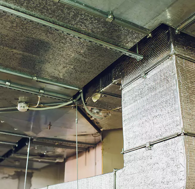 Why Homeowners & Businesses Trust Us in Charleston, SC?