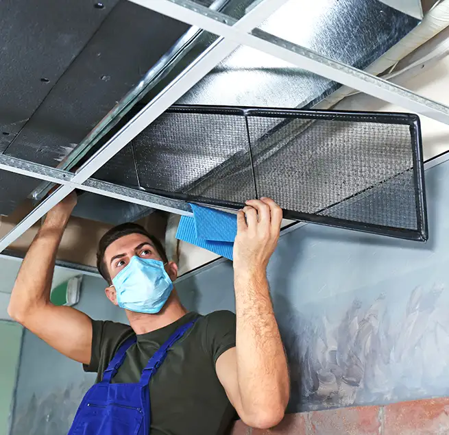 Why Homeowners & Businesses Trust Us in Charleston, SC?