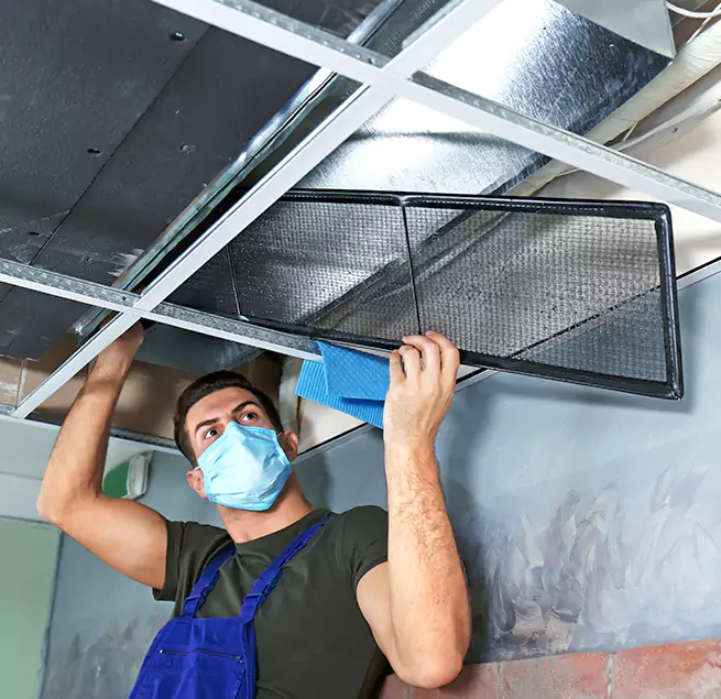  Why Homeowners Businesses Trust Us  in Charleston, SC?