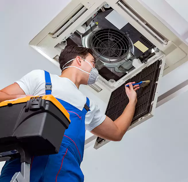 Why Homeowners & Businesses Trust Us in Charleston, SC?